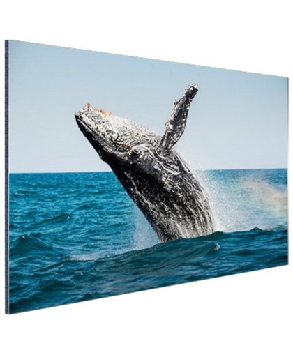 FotoCadeau.nl - Springende walvis met regenboog Aluminium 120x80 cm - Foto print op Aluminium (metaal wanddecoratie)