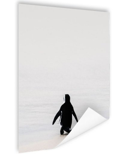 FotoCadeau.nl - Zwartvoetpinguin minimalistisch Poster 120x180 cm - Foto print op Poster (wanddecoratie)