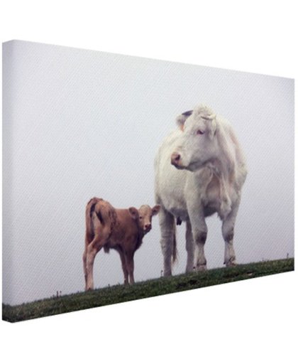 FotoCadeau.nl - Koe met kalf in de mist Canvas 60x40 cm - Foto print op Canvas schilderij (Wanddecoratie)