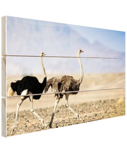 FotoCadeau.nl - Twee rennende struisvogels Hout 80x60 cm - Foto print op Hout (Wanddecoratie)