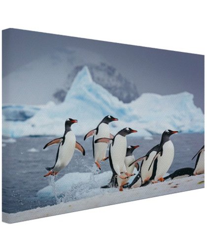 FotoCadeau.nl - Pinguins springen uit het water Canvas 60x40 cm - Foto print op Canvas schilderij (Wanddecoratie)