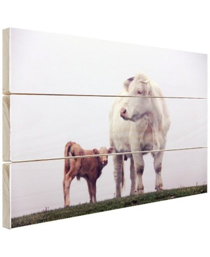 FotoCadeau.nl - Koe met kalf in de mist Hout 80x60 cm - Foto print op Hout (Wanddecoratie)
