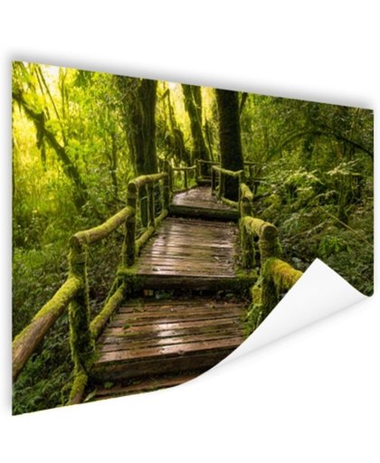 FotoCadeau.nl - Mooi regenwoud en jungle Poster 120x80 cm - Foto print op Poster (wanddecoratie)