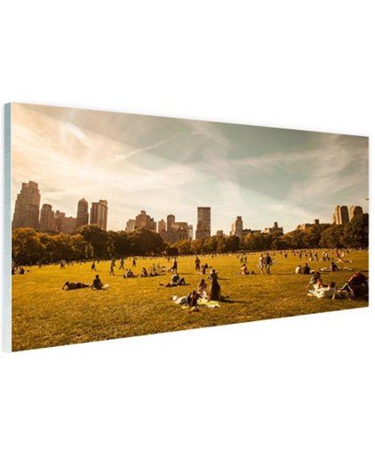 FotoCadeau.nl - Central Park zonnig Glas 30x20 cm - Foto print op Glas (Plexiglas wanddecoratie)