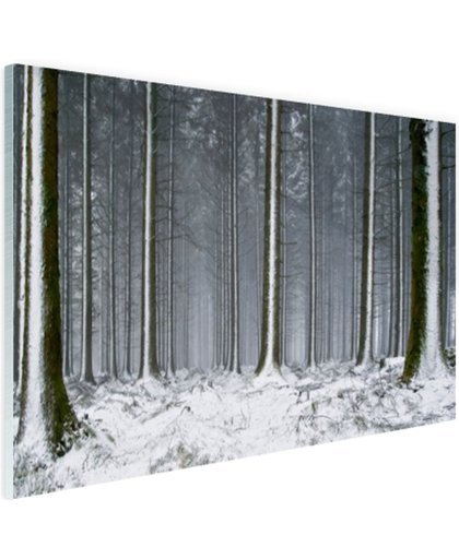 Besneeuwde bomen in de winter Glas 180x120 cm - Foto print op Glas (Plexiglas wanddecoratie)