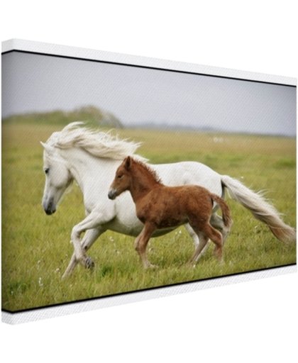 FotoCadeau.nl - Paard en veulen rennen Canvas 30x20 cm - Foto print op Canvas schilderij (Wanddecoratie)