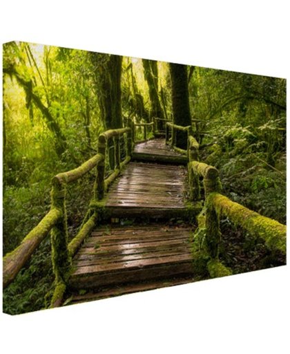 Mooi regenwoud en jungle Canvas 180x120 cm - Foto print op Canvas schilderij (Wanddecoratie)