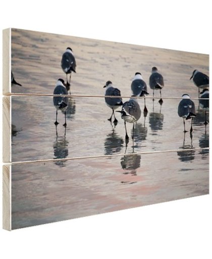 FotoCadeau.nl - Meeuwen in het water Hout 80x60 cm - Foto print op Hout (Wanddecoratie)