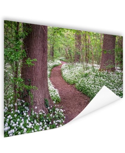 FotoCadeau.nl - Pad in een bos met wilde knoflook Poster 90x60 cm - Foto print op Poster (wanddecoratie)