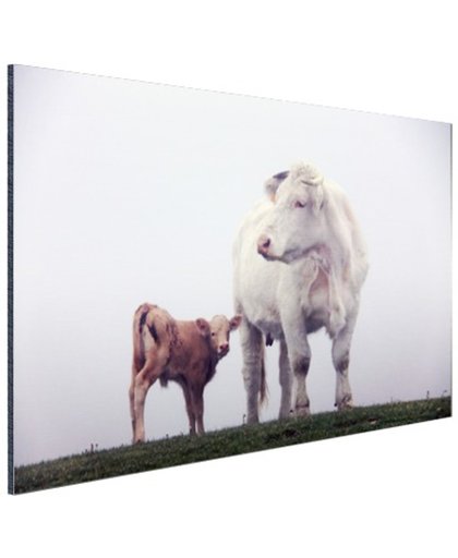 FotoCadeau.nl - Koe met kalf in de mist Aluminium 60x40 cm - Foto print op Aluminium (metaal wanddecoratie)