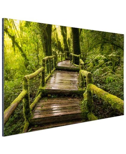 FotoCadeau.nl - Mooi regenwoud en jungle Aluminium 120x80 cm - Foto print op Aluminium (metaal wanddecoratie)