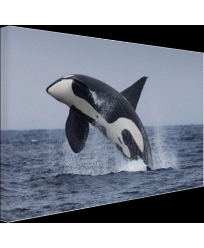 FotoCadeau.nl - Springende orka Canvas 30x20 cm - Foto print op Canvas schilderij (Wanddecoratie)