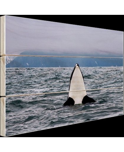 FotoCadeau.nl - Orka boven water Hout 60x40 cm - Foto print op Hout (Wanddecoratie)