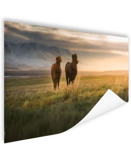 FotoCadeau.nl - IJslandse paarden in het veld Poster 60x40 cm - Foto print op Poster (wanddecoratie)