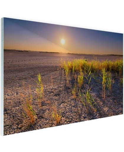 FotoCadeau.nl - Droge woestijn met plantjes  Glas 120x80 cm - Foto print op Glas (Plexiglas wanddecoratie)