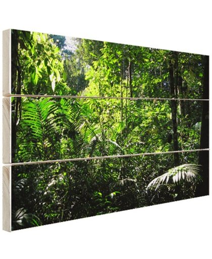 FotoCadeau.nl - Regenwoud Brazilie  Hout 120x80 cm - Foto print op Hout (Wanddecoratie)