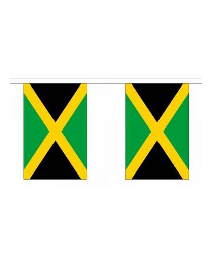 Luxe jamaica vlaggenlijn 9 m