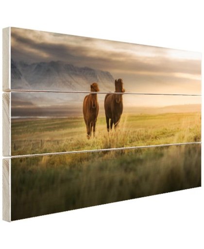 FotoCadeau.nl - IJslandse paarden in het veld Hout 120x80 cm - Foto print op Hout (Wanddecoratie)