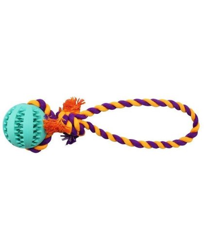 Turquoise bal met touw waar de hond lekker mee kan ravotten.