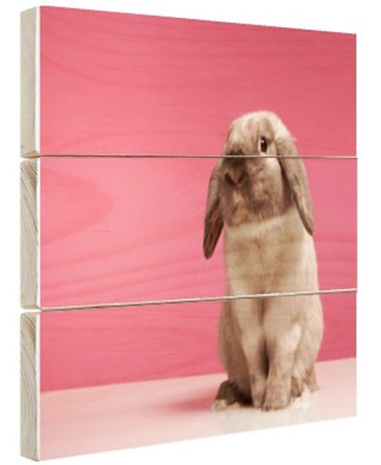 FotoCadeau.nl - Konijnen voor roze muur Hout 120x80 cm - Foto print op Hout (Wanddecoratie)