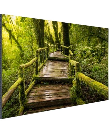 FotoCadeau.nl - Mooi regenwoud en jungle Aluminium 60x40 cm - Foto print op Aluminium (metaal wanddecoratie)