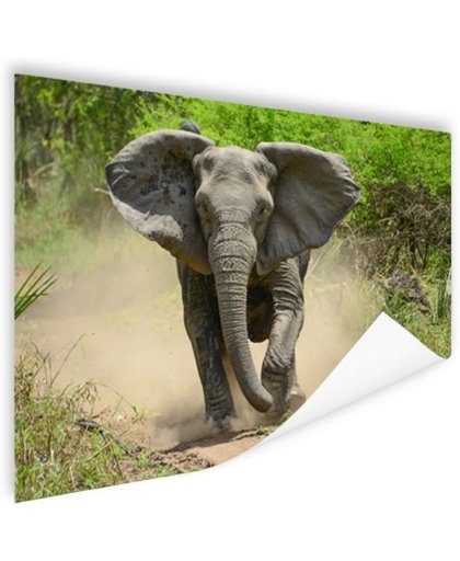 FotoCadeau.nl - Rennende olifant Poster 90x60 cm - Foto print op Poster (wanddecoratie)