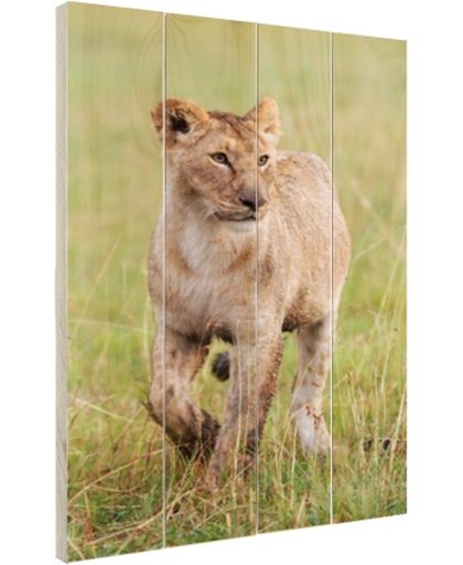 FotoCadeau.nl - Lopende Afrikaanse leeuwin Hout 20x30 cm - Foto print op Hout (Wanddecoratie)