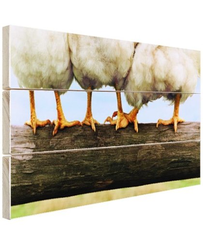 FotoCadeau.nl - Foto kippenpoten afdruk Hout 30x20 cm - Foto print op Hout (Wanddecoratie)