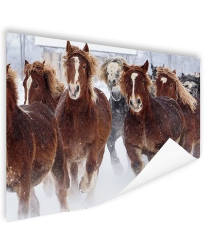 FotoCadeau.nl - Hardlopende paarden in de sneeuw Poster 90x60 cm - Foto print op Poster (wanddecoratie)