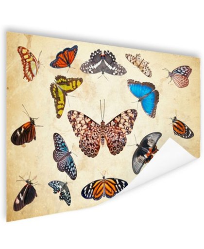FotoCadeau.nl - Botanische print vlinders Poster 60x40 cm - Foto print op Poster (wanddecoratie)
