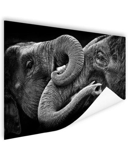 FotoCadeau.nl - Verstrengelde olifanten Poster 180x120 cm - Foto print op Poster (wanddecoratie)