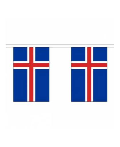 Buiten vlaggenlijn ijsland 3 m