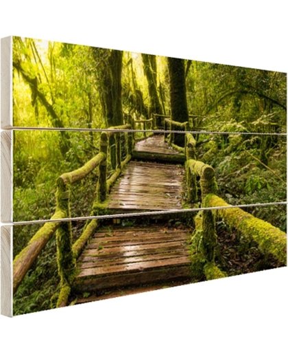 FotoCadeau.nl - Mooi regenwoud en jungle Hout 120x80 cm - Foto print op Hout (Wanddecoratie)