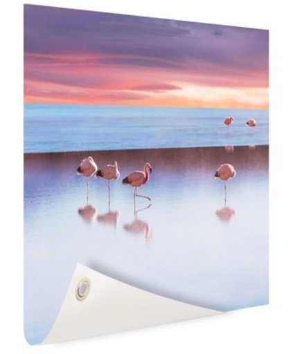 FotoCadeau.nl - Flamingos bij zonsondergang Tuinposter 200x100 cm - Foto op Tuinposter (tuin decoratie)