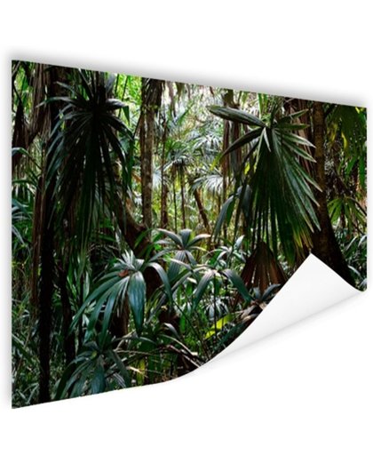 FotoCadeau.nl - Planten in regenwoud Poster 90x60 cm - Foto print op Poster (wanddecoratie)