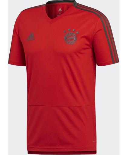 adidas FC Bayern Munchen Training Jersey Replica shirt Heren - Red/Utility Ivy