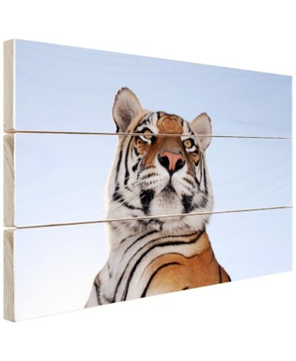 FotoCadeau.nl - Stoere tijger blauwe lucht Hout 120x80 cm - Foto print op Hout (Wanddecoratie)