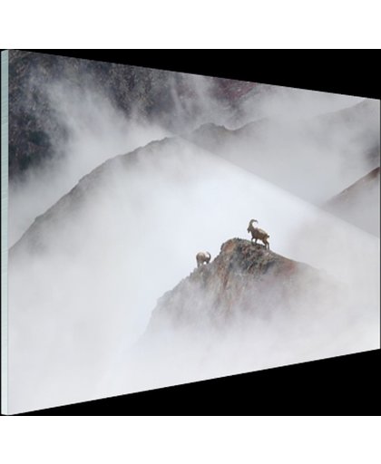 FotoCadeau.nl - Himalaya geiten Glas 90x60 cm - Foto print op Glas (Plexiglas wanddecoratie)