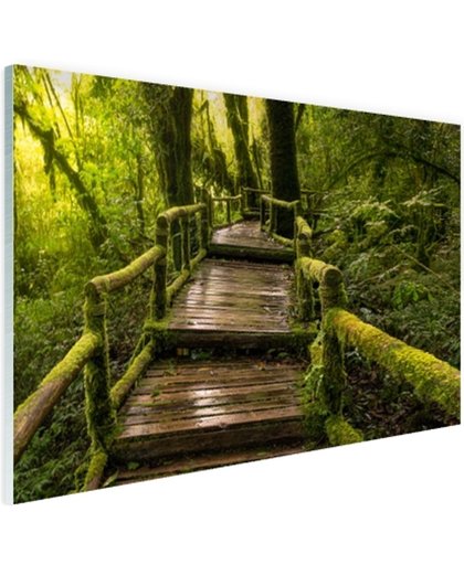 FotoCadeau.nl - Mooi regenwoud en jungle Glas 30x20 cm - Foto print op Glas (Plexiglas wanddecoratie)