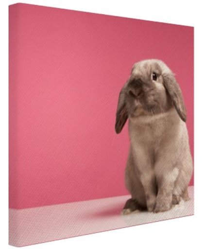 FotoCadeau.nl - Konijnen voor roze muur Canvas 80x60 cm - Foto print op Canvas schilderij (Wanddecoratie)