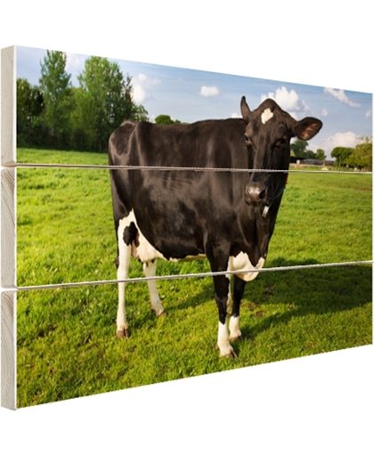 FotoCadeau.nl - Starende zwart-witte koe Hout 60x40 cm - Foto print op Hout (Wanddecoratie)