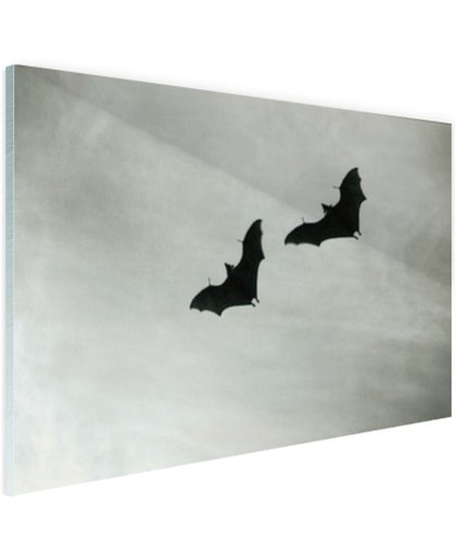 FotoCadeau.nl - Twee vleermuizen in vlucht Glas 90x60 cm - Foto print op Glas (Plexiglas wanddecoratie)