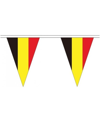 Belgie landen punt vlaggetjes 5 meter - slinger / vlaggenlijn
