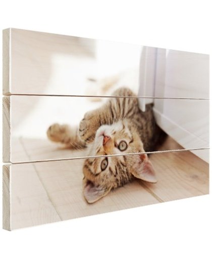 FotoCadeau.nl - Spelende kitten Hout 80x60 cm - Foto print op Hout (Wanddecoratie)