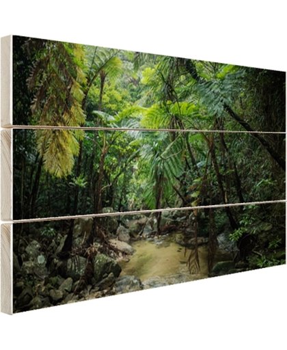 FotoCadeau.nl - Riviertje in tropische jungle Hout 120x80 cm - Foto print op Hout (Wanddecoratie)
