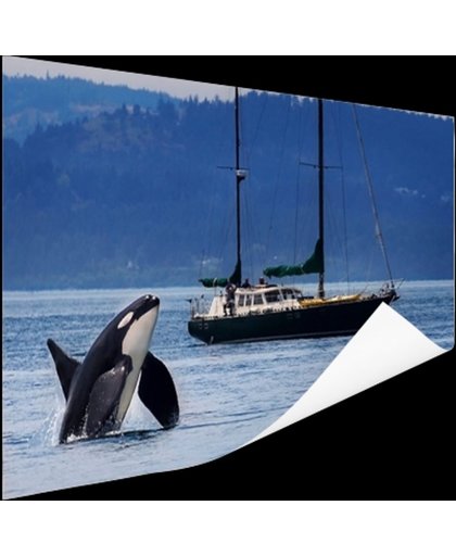 FotoCadeau.nl - Orka bij een boot Poster 150x75 cm - Foto print op Poster (wanddecoratie)