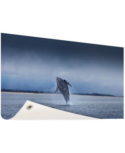 FotoCadeau.nl - Brede foto van springende walvis Tuinposter 120x80 cm - Foto op Tuinposter (tuin decoratie)