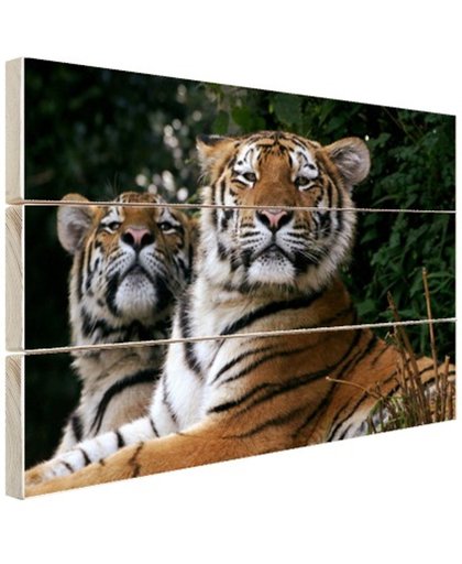 FotoCadeau.nl - Twee Siberische tijgers Hout 80x60 cm - Foto print op Hout (Wanddecoratie)
