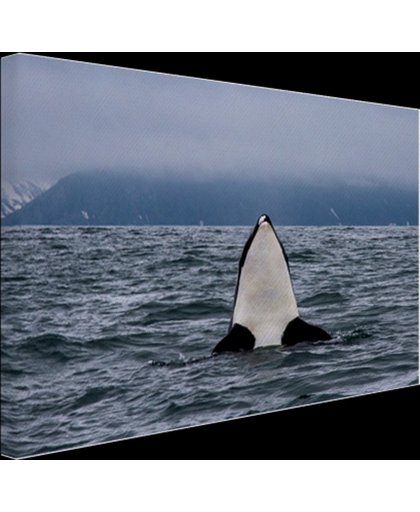 FotoCadeau.nl - Orka boven water Canvas 60x40 cm - Foto print op Canvas schilderij (Wanddecoratie)