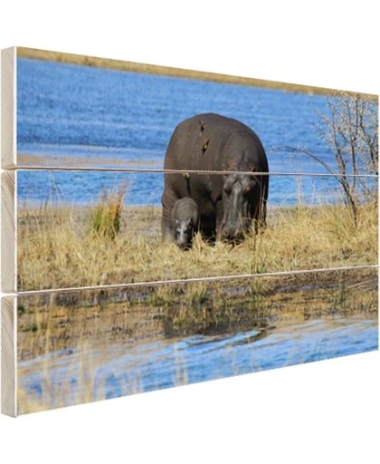 FotoCadeau.nl - Moeder en baby nijlpaarden Hout 80x60 cm - Foto print op Hout (Wanddecoratie)